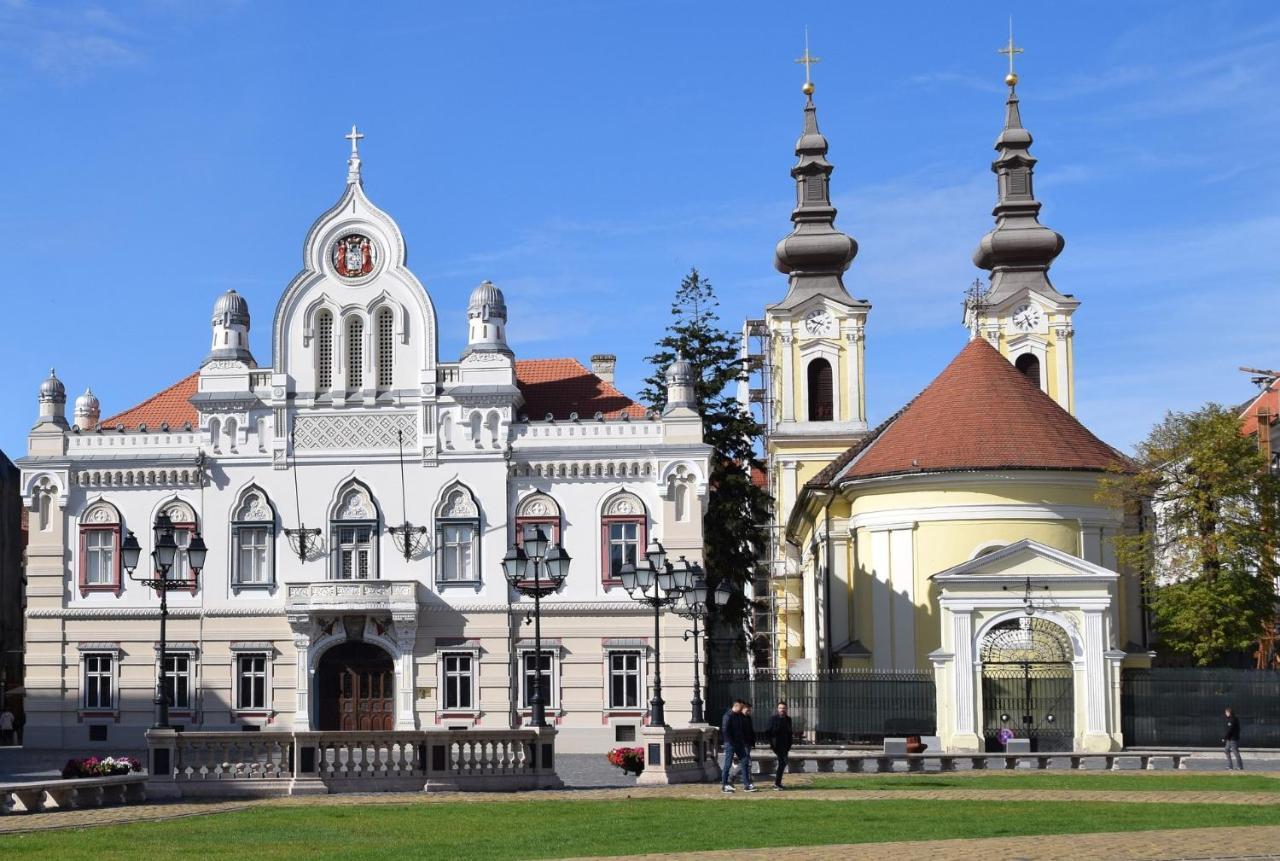 Ole Apartment - Get Your Energy For Free! Coffee And Tea On The House Timișoara Zewnętrze zdjęcie